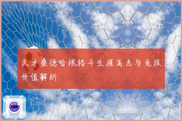 天才桑德哈根格斗生涯高光与竞技价值解析