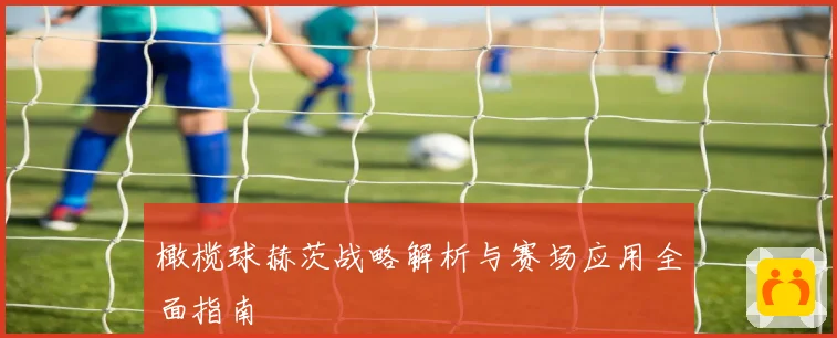 橄榄球赫茨战略解析与赛场应用全面指南