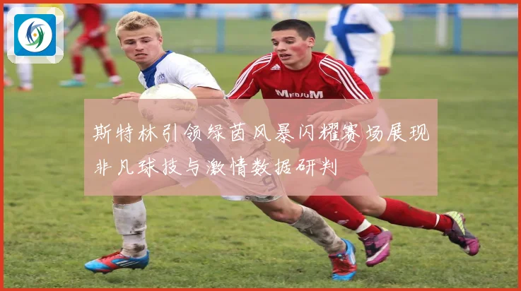 斯特林引领绿茵风暴闪耀赛场展现非凡球技与激情数据研判