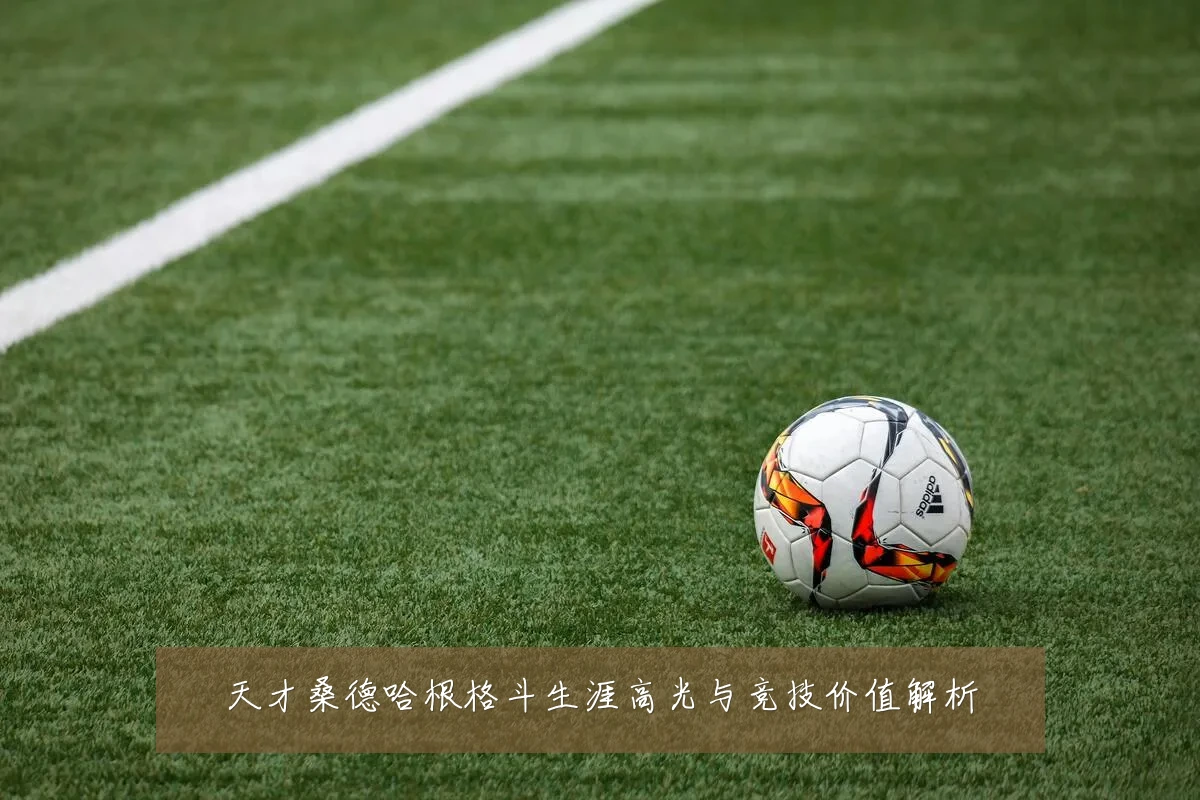 天才桑德哈根格斗生涯高光与竞技价值解析